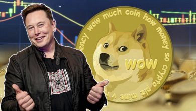 Dogecoin went from joke to one of the top cryptocurrencies