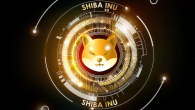 Cryptocurrency Shiba Inu Everything You Need To Know