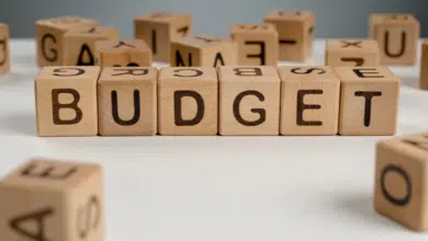 How to Mange Your Budget - Full guide